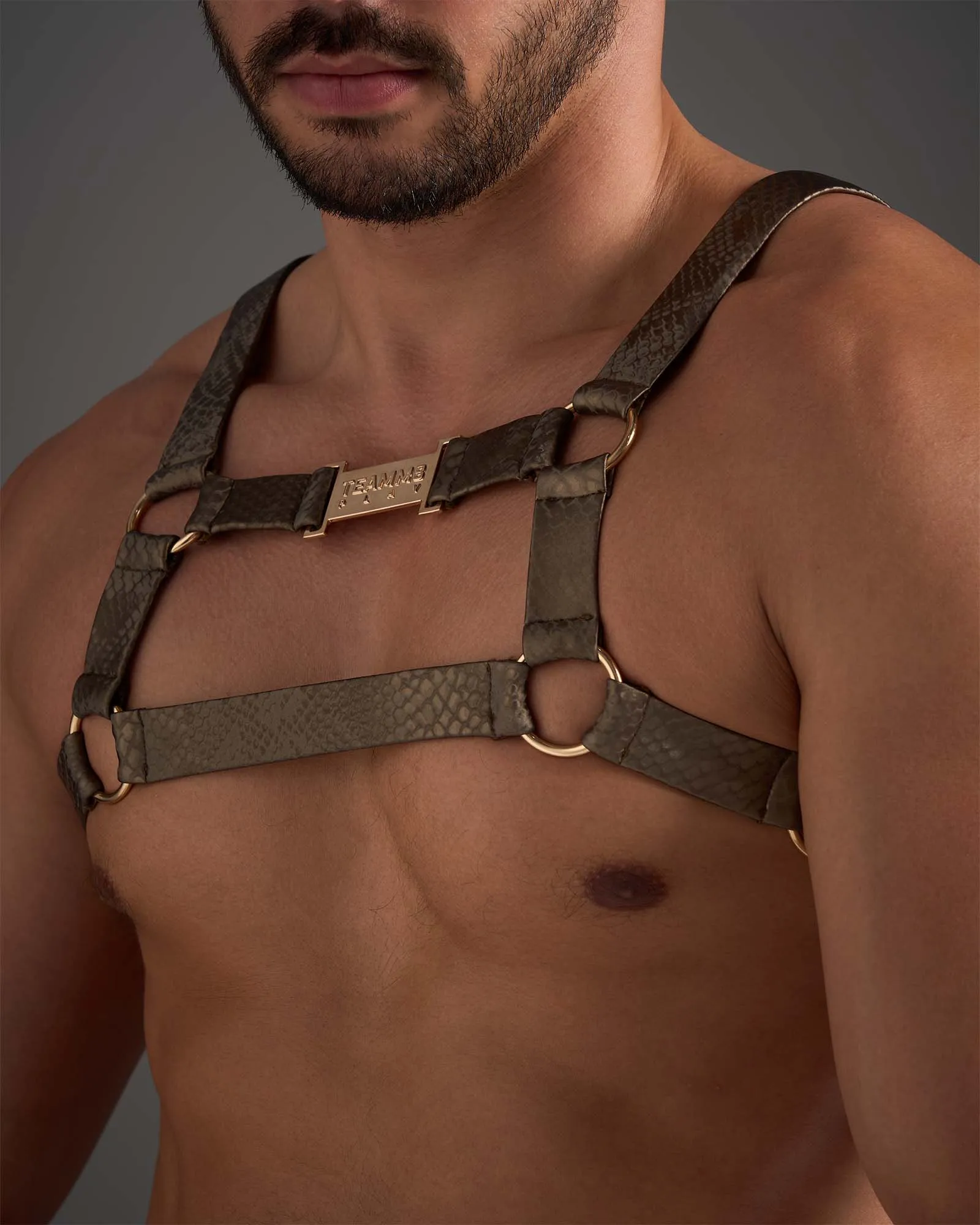 Flex Harness - Python Bronze