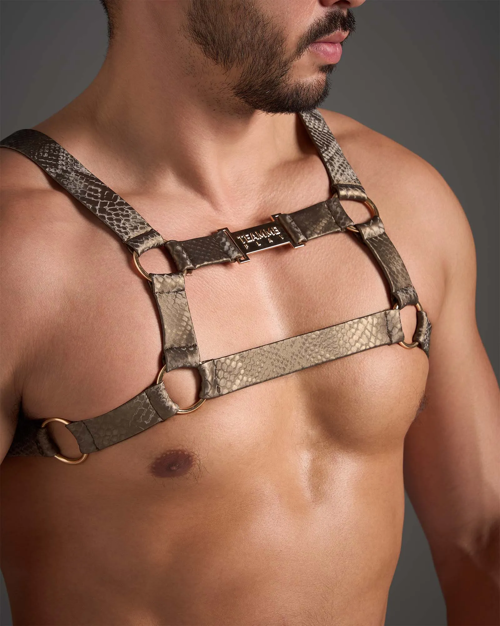 Flex Harness - Python Bronze